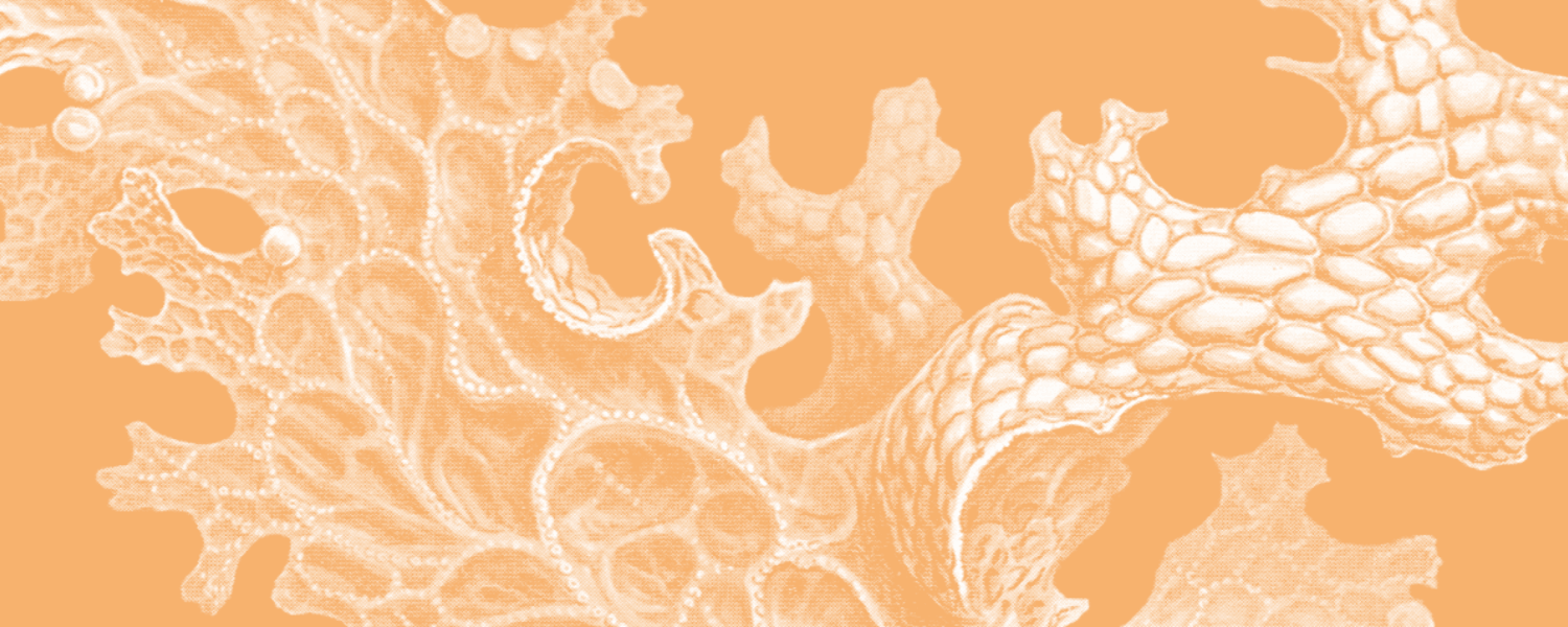 Copertina Arancione